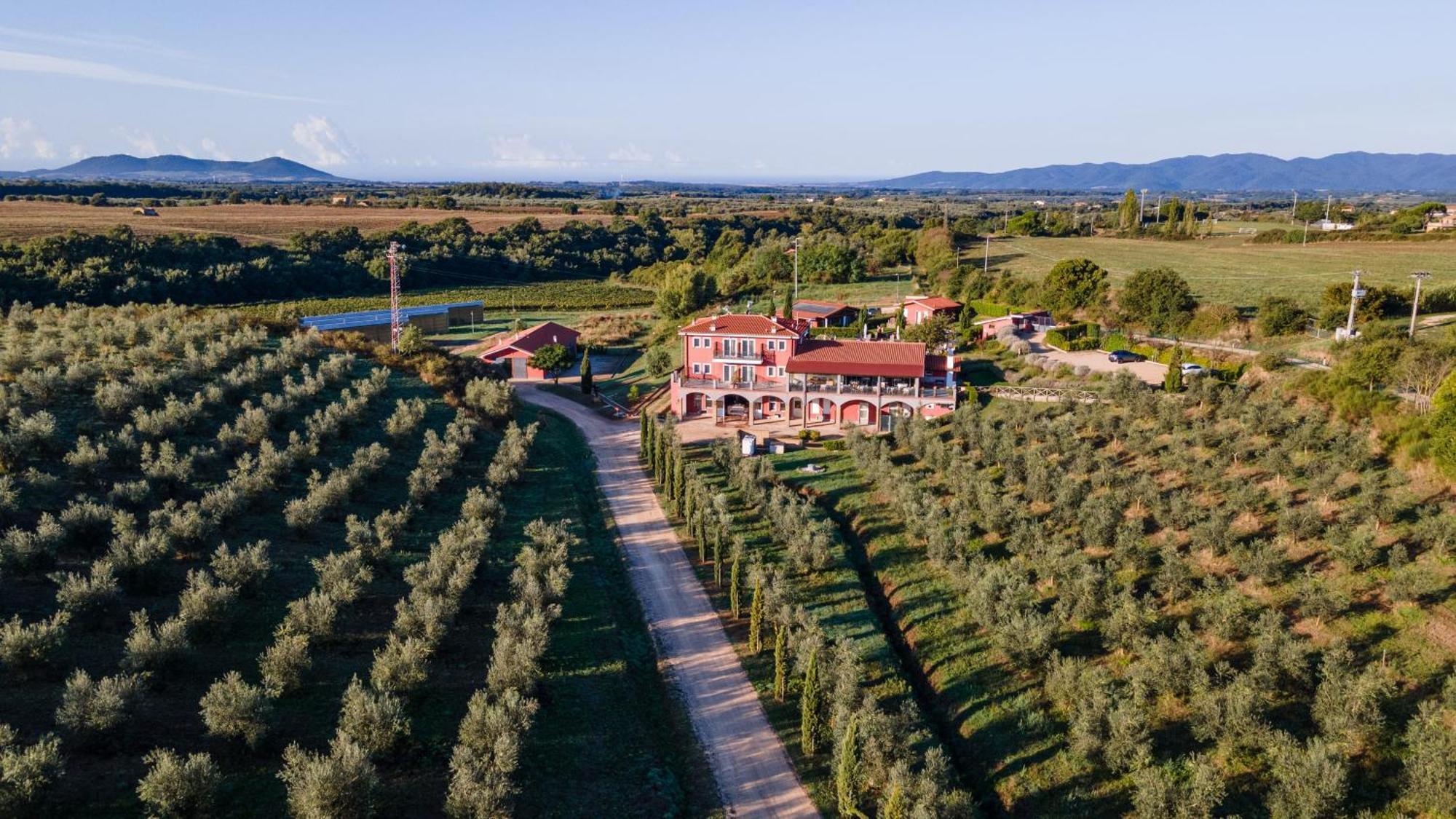 Il Podere Di Marfisa Farnese Екстериор снимка