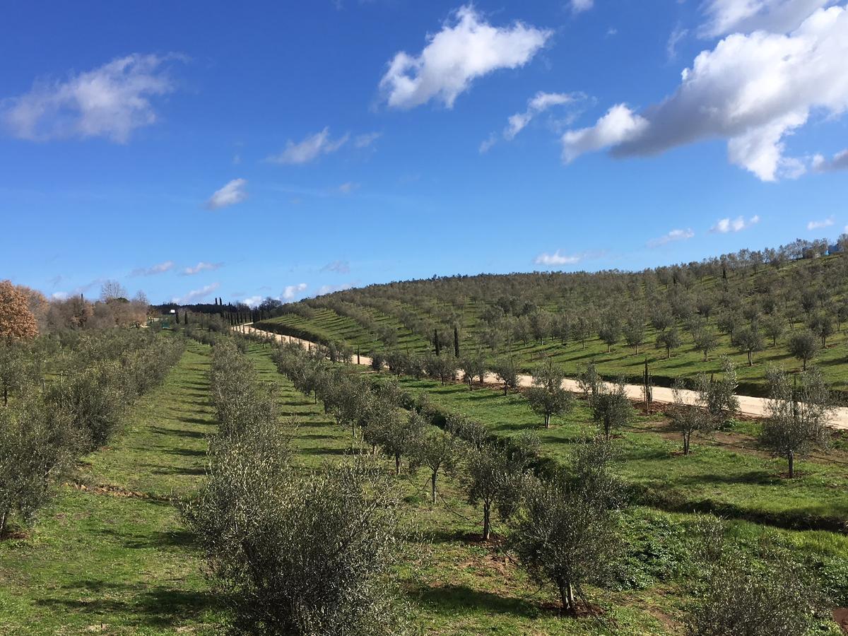 Il Podere Di Marfisa Farnese Екстериор снимка
